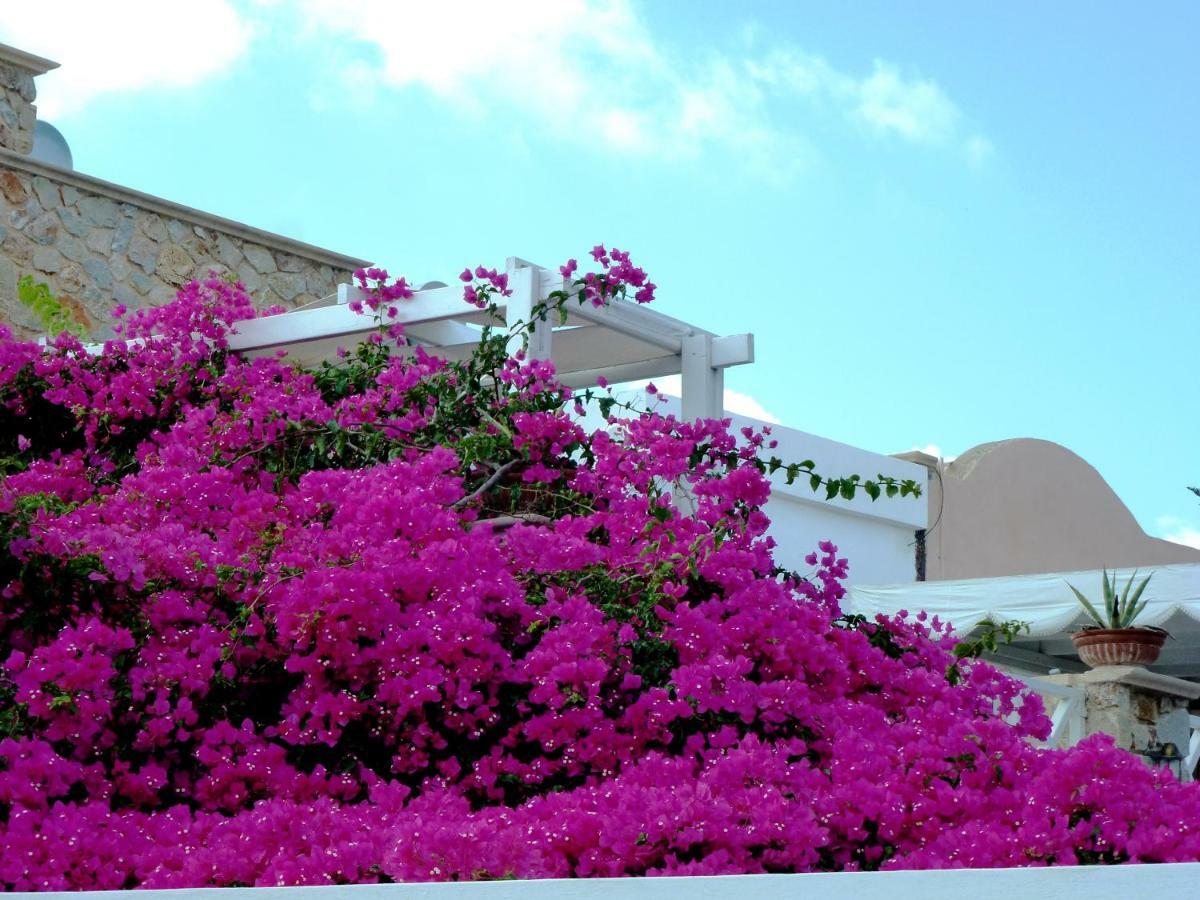 Bougainvillea Suites Kamari  Ngoại thất bức ảnh