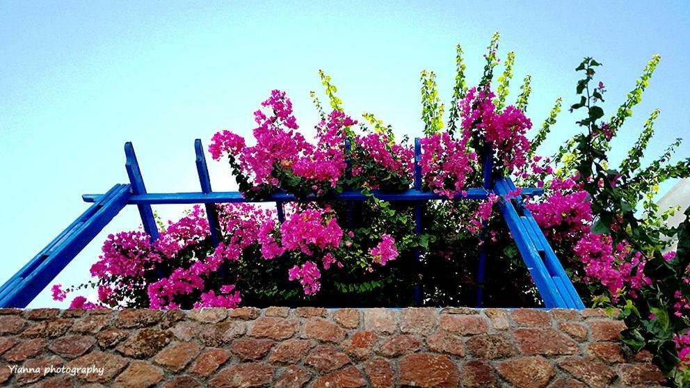 Bougainvillea Suites Kamari  Ngoại thất bức ảnh