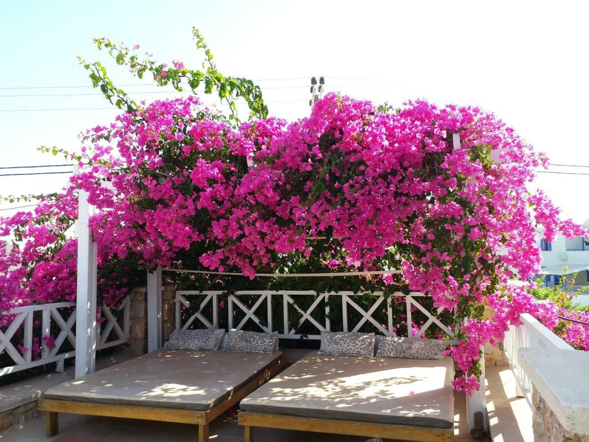 Bougainvillea Suites Kamari  Ngoại thất bức ảnh